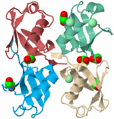 Image Biological Unit 3