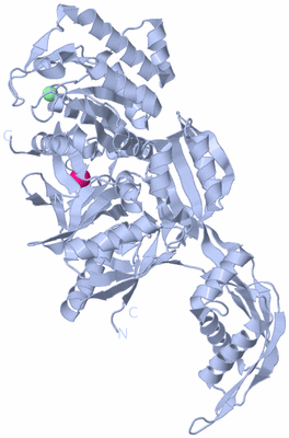 Image Biological Unit 1