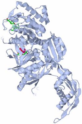 Image Biol. Unit 1 - sites