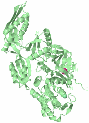 Image Biological Unit 2