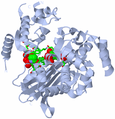 Image Biol. Unit 1 - sites