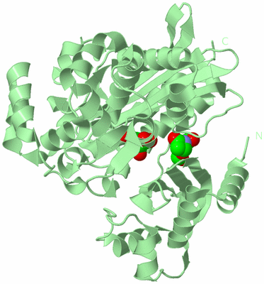 Image Biological Unit 2