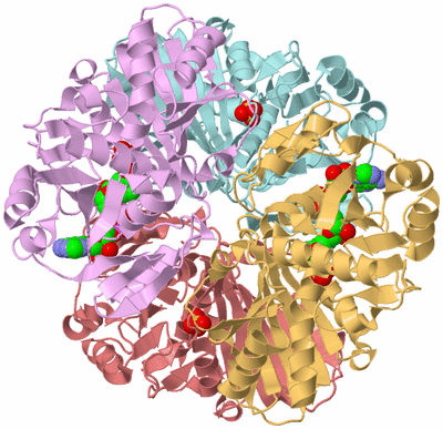 Image Biological Unit 1