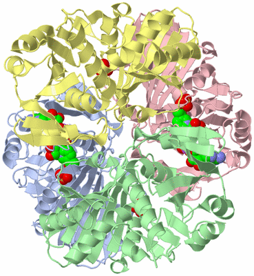 Image Biological Unit 2