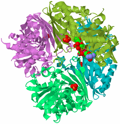 Image Biological Unit 3