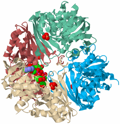 Image Biological Unit 4