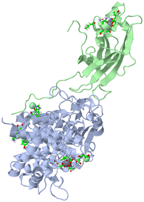 Image Asym./Biol. Unit - sites