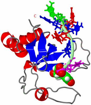 Image NMR Structure - model 1