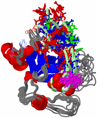 Image NMR Structure - all models