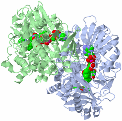 Image Asym./Biol. Unit