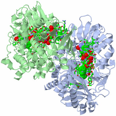 Image Asym./Biol. Unit - sites