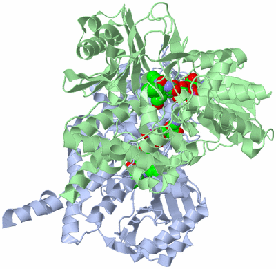 Image Asym./Biol. Unit