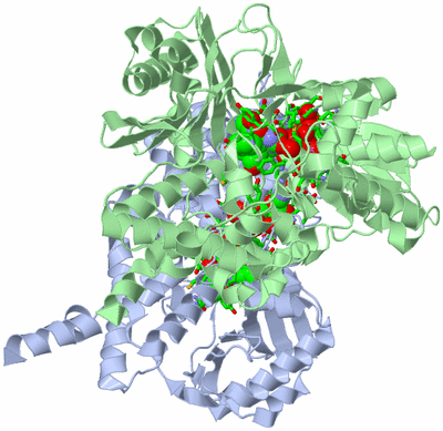 Image Asym./Biol. Unit - sites