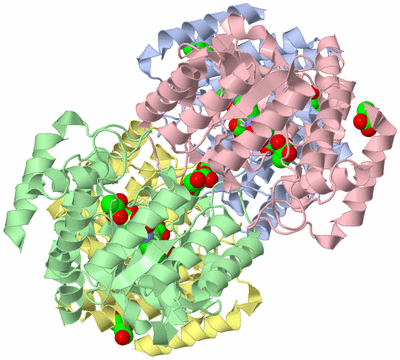 Image Asym./Biol. Unit