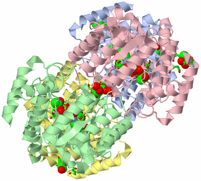 Image Asym./Biol. Unit - sites