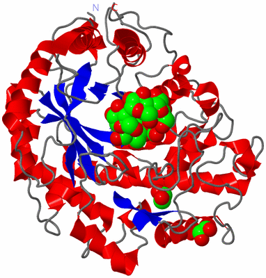 Image Asym./Biol. Unit