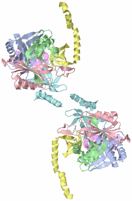 Image Biological Unit 1