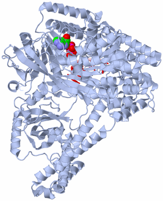 Image Biological Unit 1