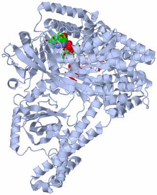 Image Biol. Unit 1 - sites