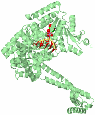 Image Biological Unit 2