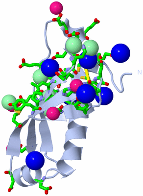 Image Biol. Unit 1 - sites