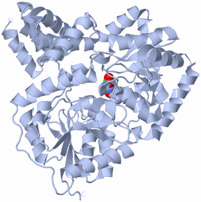 Image Biological Unit 1