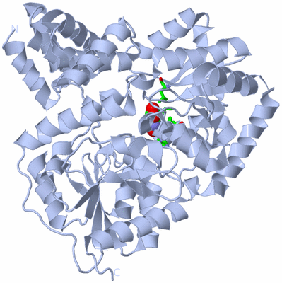 Image Biol. Unit 1 - sites