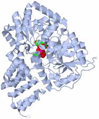 Image Biological Unit 1