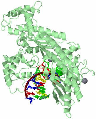 Image Biological Unit 1