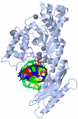 Image Biological Unit 2