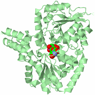 Image Biological Unit 2