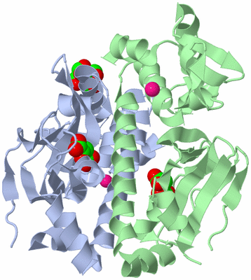 Image Asym./Biol. Unit