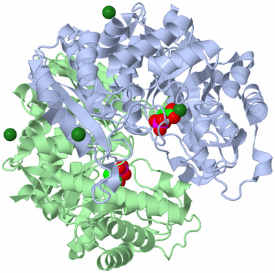 Image Asym./Biol. Unit