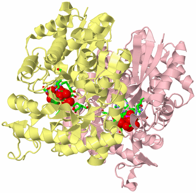 Image Biol. Unit 1 - sites