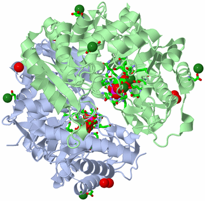 Image Asym./Biol. Unit - sites