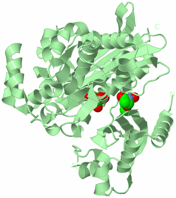 Image Biological Unit 2