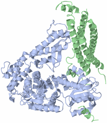 Image Asym./Biol. Unit