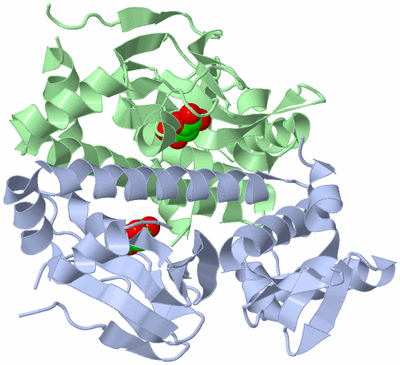 Image Asym./Biol. Unit