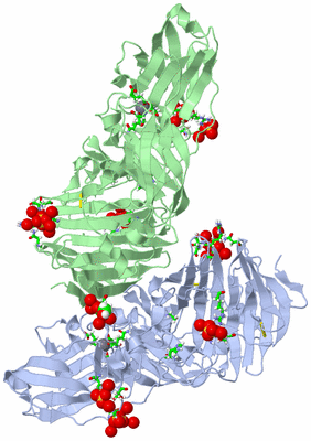 Image Asym. Unit - sites