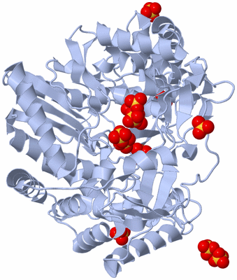 Image Biological Unit 1