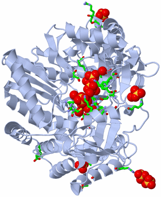 Image Biol. Unit 1 - sites