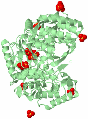 Image Biological Unit 2