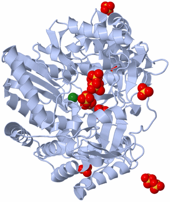 Image Biological Unit 1