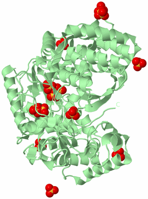 Image Biological Unit 2