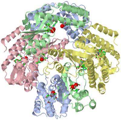 Image Biol. Unit 1 - sites