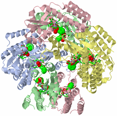 Image Biol. Unit 1 - sites