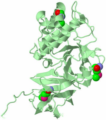 Image Biological Unit 2