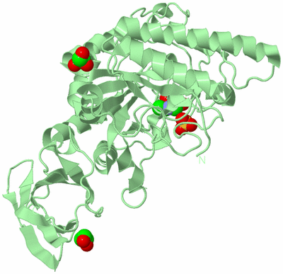 Image Biological Unit 1