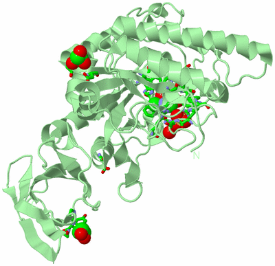 Image Biol. Unit 1 - sites