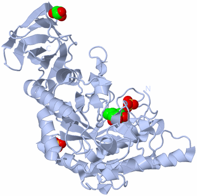 Image Biological Unit 2